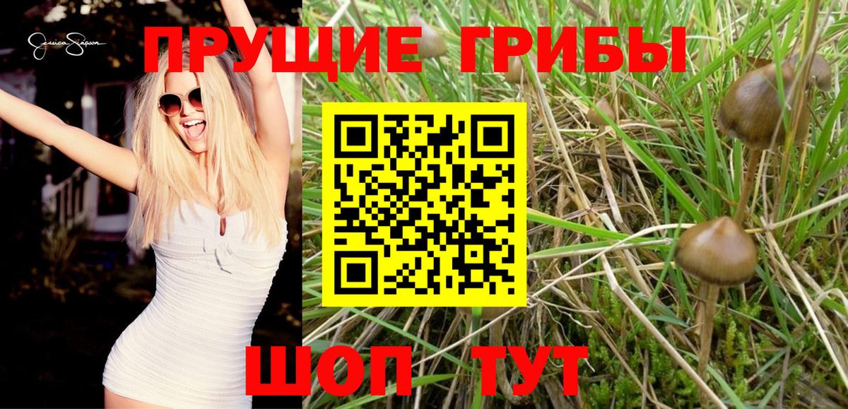 LSD-25  Метамфетамин  Альфа ПВП СК   МАРИХУАНА  Карпинск  Гашиш  Меф  Мефедрон кристаллы  Вход с VPN 